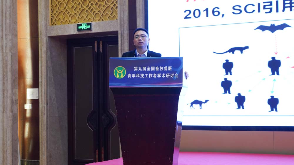 青年学者做报告