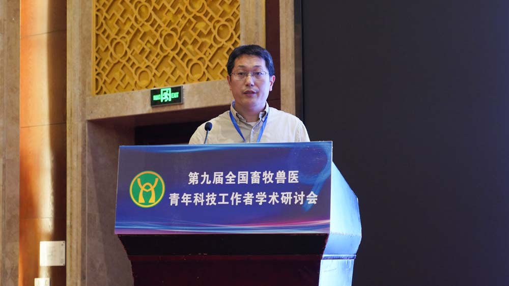 青年学者做报告